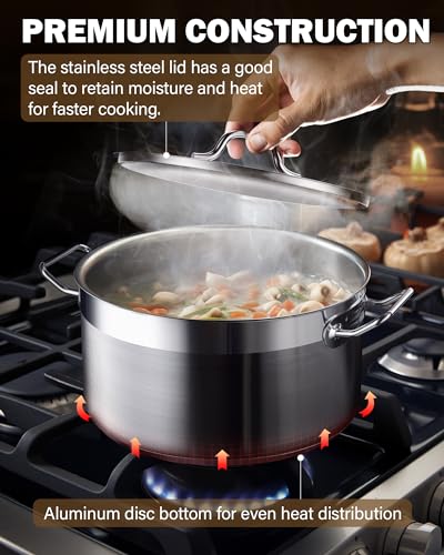 Professional 6 Quart Stock Pot with Lid (6 Quarts / Silver)