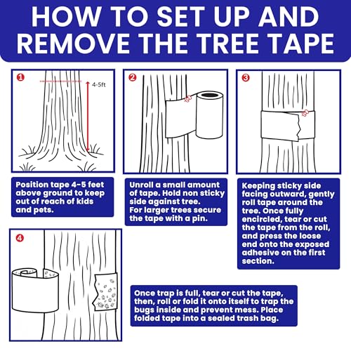 Spotted Lantern Fly Trap for Trees. 3 Sticky Fly Paper Rolls with Pins and Egg Scraper. Bug Tree Tape Wrap Ant Barrier Spotted Lanternfly Killer. Lantern Flies Tape for Trees Glue Insect Barrier