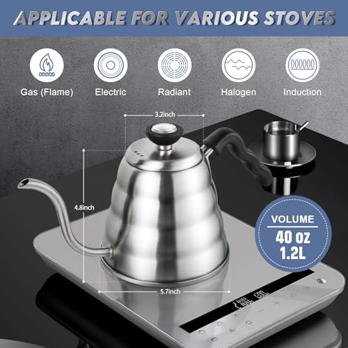 Stainless Steel Gooseneck Kettle (1.3 Quarts)