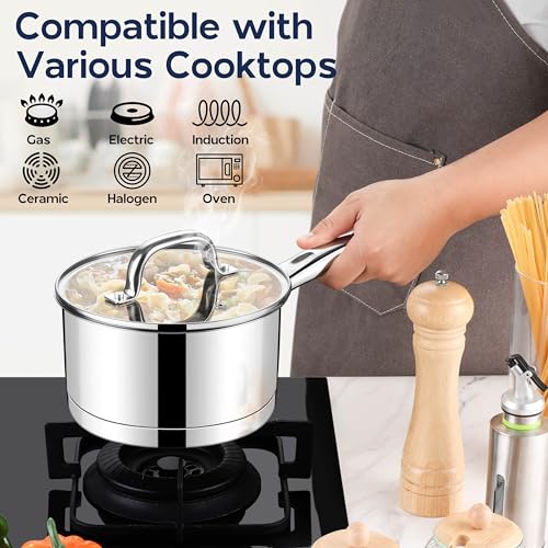 Stainless Steel Saucepan Set of 2 (1+3 Quart)