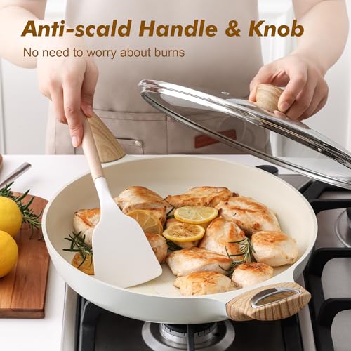 12.5inch Ceramic Nonstick Frying Pan Paella Pan with Lid (12.5 Inch / CREAM White)