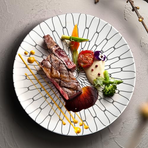 10 Inch Dinner Plates Set of 6 (White plates with black grid / 10 inch)
