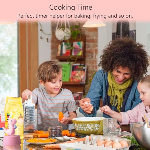 Visual Timer for Kid (Pink Dinosaur)