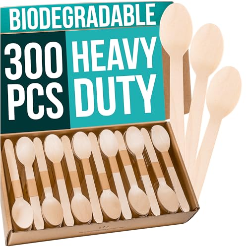 Disposable Wooden Spoons (Spoon Set)