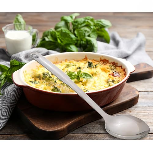 Solid Serving Spoon with Long Handle (12.5-Inch / Solid Serving Spoon)