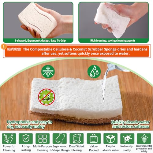Sponges Kitchen Natural Dish Sponge Plant (Pack of 16)