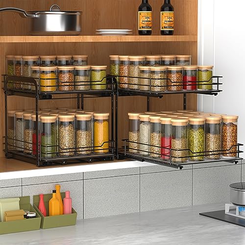2 Tier Spice Rack (2 Tier,9.5''Wx10.5''Dx9.5''H)