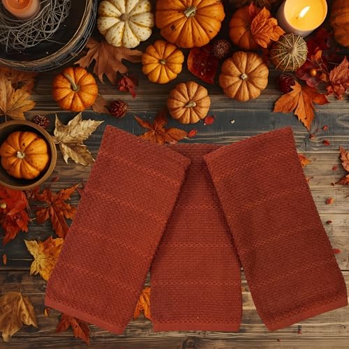 Cinnamon Maroon Rust Kitchen Dish Towels (Cinnamon Textured)