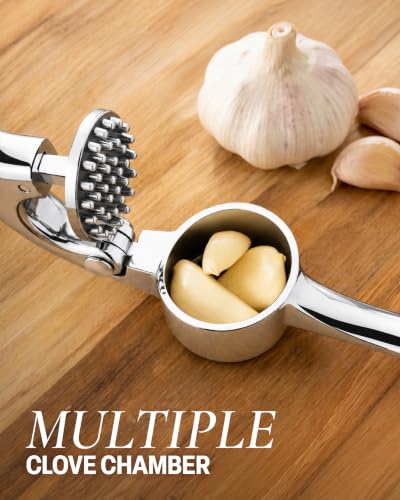 Premium Garlic Press Set (Large | Chrome)