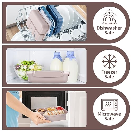 Bento Box Adult Lunch Box (Brown)