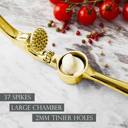 High Effective Garlic Press With Studs (Golden)