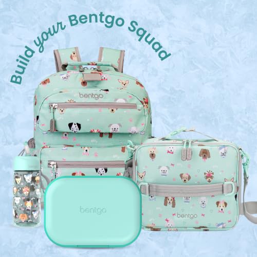Chill Kids 4 Compartment Bento Box Leakproof Lunch Box (Aqua)
