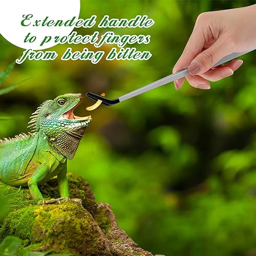 2 Pcs Reptile Feeding Tongs (Silver / 10 Inch, 10.5 Inch)