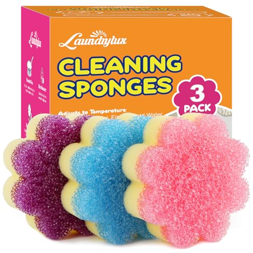 Scrub Sponge Dual (Flower)