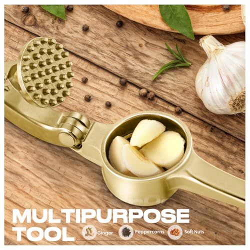 Kitchen Garlic Press (Gold)