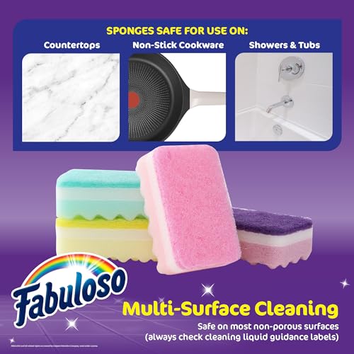 Scratch Free Kitchen Dish Sponges (Rainbow / 4 Count (Pack of 1))