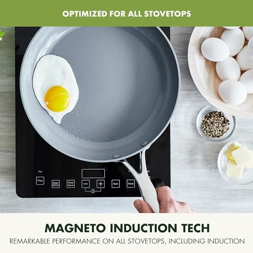 Valencia Pro 12" Ceramic Nonstick Frying Pan (12" Frying Pan Skillet / Gray)