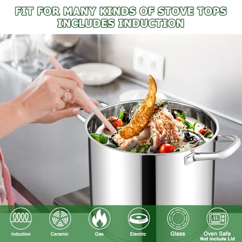 10QT Stock Pot (10 Quarts)