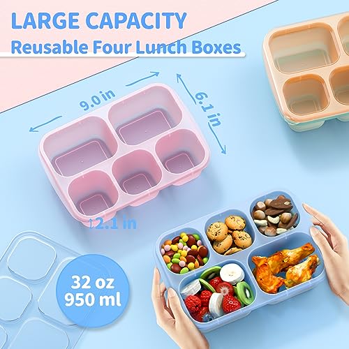 Bento Box Adult Lunch Box (Transparent(Blue/Pink/Green/Yellow))