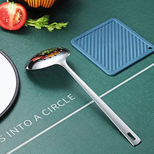Stainless Steel Skimmer (H. Skimmer)