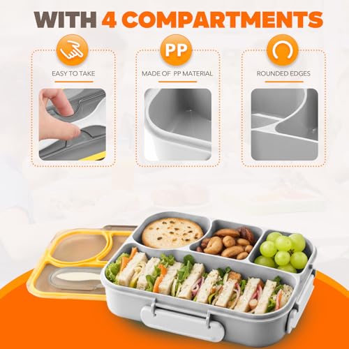Bento Box Adult (Gray)