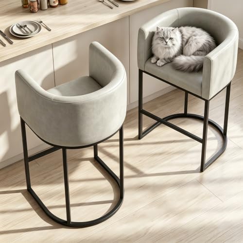 26" H Counter Height Bar Stools Set of 1 (Grayish White / Set of 1)