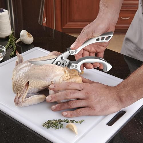 Kitchen Scissors (Bright Silver)