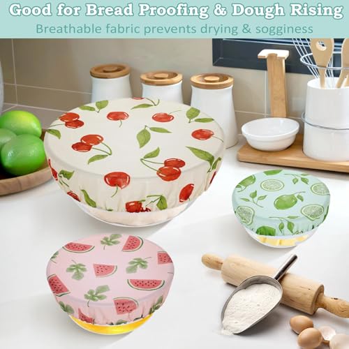 5Pcs Reusable Beeswax Elastic Bowl Covers for Bread Proofing and Food Cover (Colored Fruit)