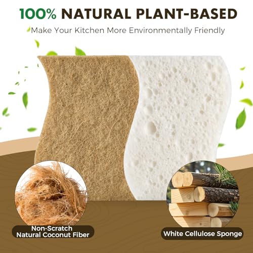 12 Pack Natural Biodegradable Kitchen Non Scratch Sponges