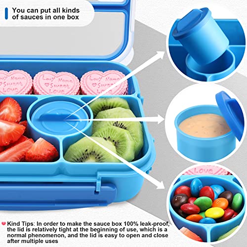 Bento Box Adult Lunch Box Kids (Blue)
