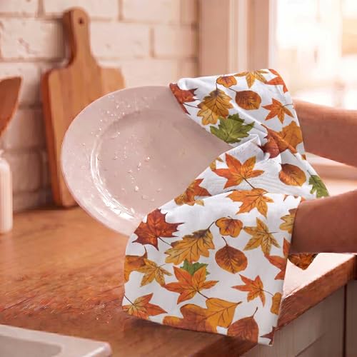 Kitchen Towels Cotton Dish Towels 20”x30” (20" x 30" (Set of 6) / 072 Harvest Leaf Print)