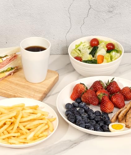 16 Piece Plates and Bowl Set for 4 (Beige / Service For 4)