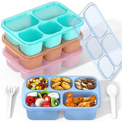 Bento Box Adult Lunch Box (Transparent(Blue/Pink/Green/Yellow))