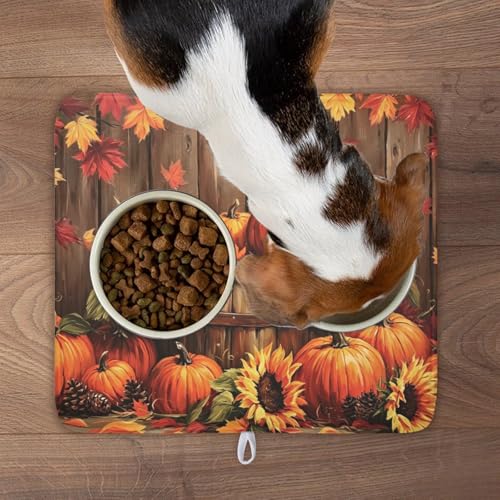 Fall Pumpkin Dish Drying Mat for Kitchen Counter Thanksgiving Autumn Harvest Pumpkin Microfiber Dish Drainer Mat Rustic Farmhouse Absorbent Washable Drying Pad 16"x18" (Fall Pumpkin / 18" x 16")