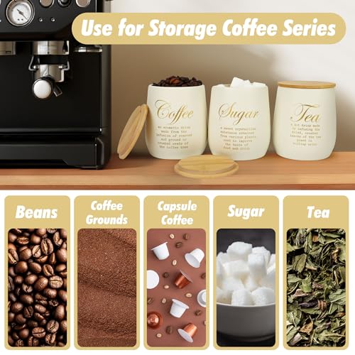 Coffee Tea Sugar Container Set of 3 (CLS-Coffee-3)