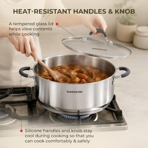6 Quart Stainless Steel Steamer Pot for Cooking (6 Quarts)