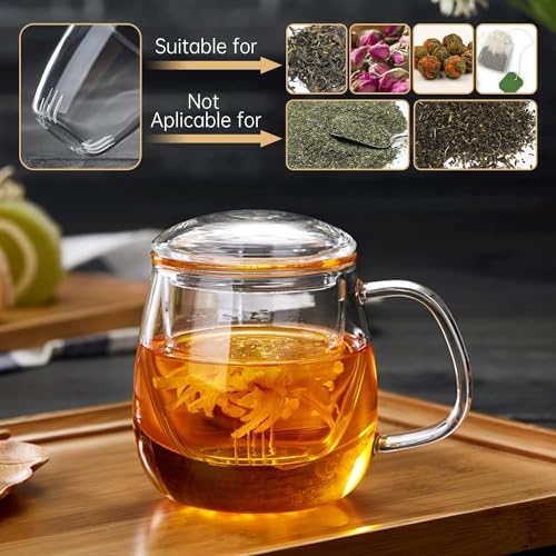 Glass Teacups 2 Pack Glass Tea Cup with Infuser and Lid