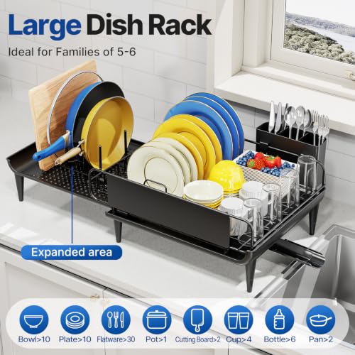 Expandable Dish Drying Rack for Kitchen Counter with Drainboard (1 Tier - Expandable - Black)
