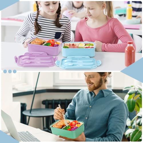 Bento Boxes for Adults (Light Blue)