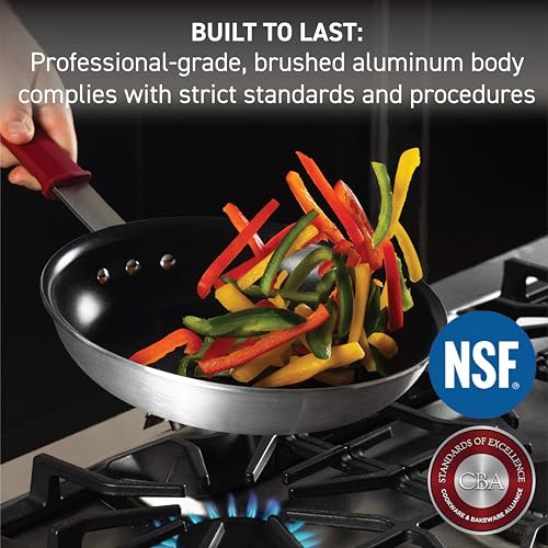 Professional VX3 Brushed Nonstick Fry Pan with Stainless Steel Handle 10 Inch (Professional Nonstick / 10 inch)