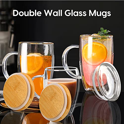 15 Oz Double Walled Glass Coffee Mugs (Glass lid / 15oz)