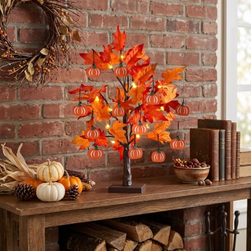 Fall Decorations for Home (Orang)