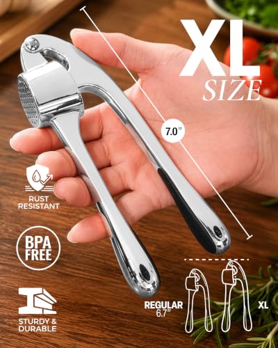 Large Premium Garlic Press Set (Extra Large | Chrome)