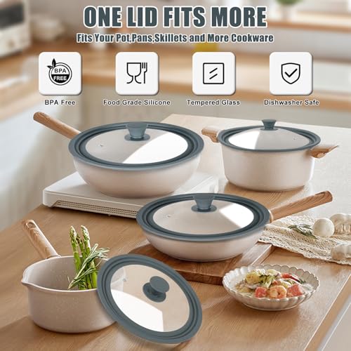 Universal Lid for Pots (10-11-12 inch)