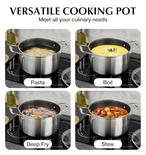 Triply Stainless Steel Pot 6 Quart (6 Quarts)