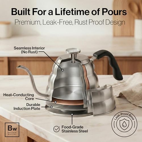 Gooseneck Kettle (Silver / 1.0L)
