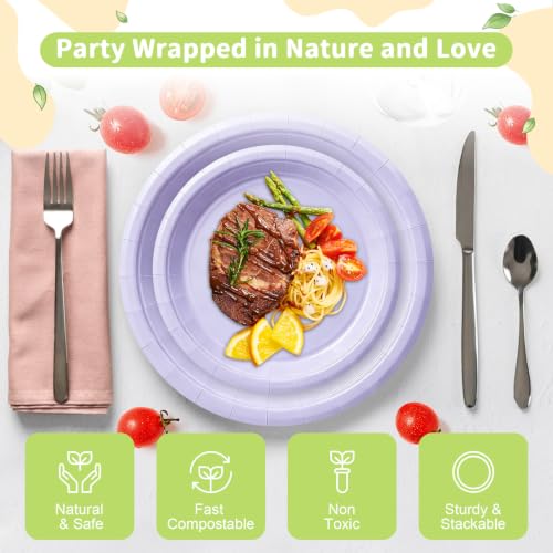Lavender Paper Plates (Lavender / 50 Count (25-9" & 25-7"))