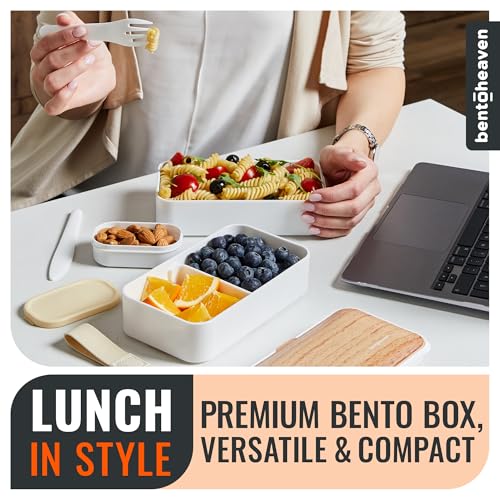 Bento Box Adult (Bright Light)