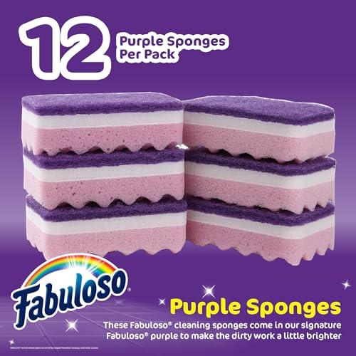 Scratch Free Kitchen Dish Sponges (Purple / 12 Count (Pack of 1))