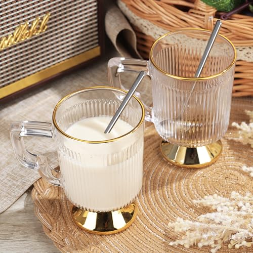 Glass Coffee Mugs with Handle (Clear)